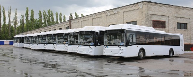 В Воронеж поступили 52 маршрутных автобуса с климат-контролем